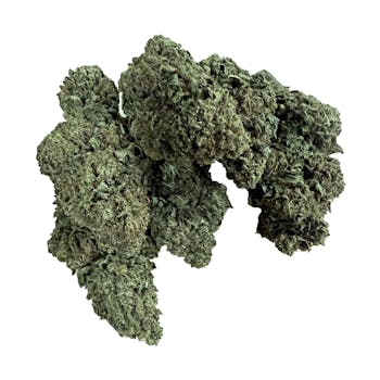 SD - Alien Cookie Walker - (1/8th)
